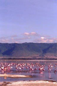 Cráter del Ngorongoro: el edén de Tanzania