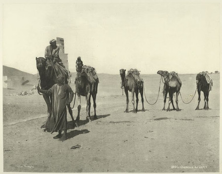 Viajar al Egipto de 1870, cómo salvar el Amazonas con fotos, fotos de comida que no lo parecen y más: Galaxia Xataka Foto