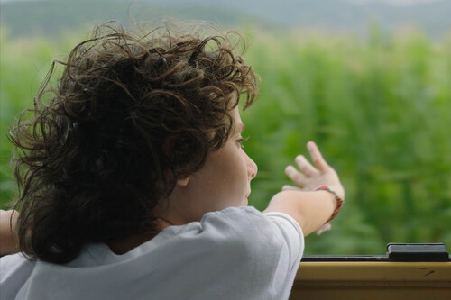 Verano 1993 2017 Carla Simon