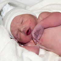 La pandemia por Covid-19 redujo el número de nacimientos, sobre todo en Italia, España y Portugal