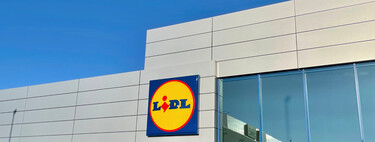 Lidl tiene el pequeño electrodoméstico con el que podrás hacer granizados de todos los sabores en casa este verano