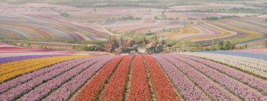 "No me sorprendería que lo prohibieran en 3 años": es uno de las grandes películas de 2024, pero un director teme que sea censurada 