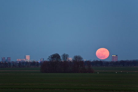 utrecht