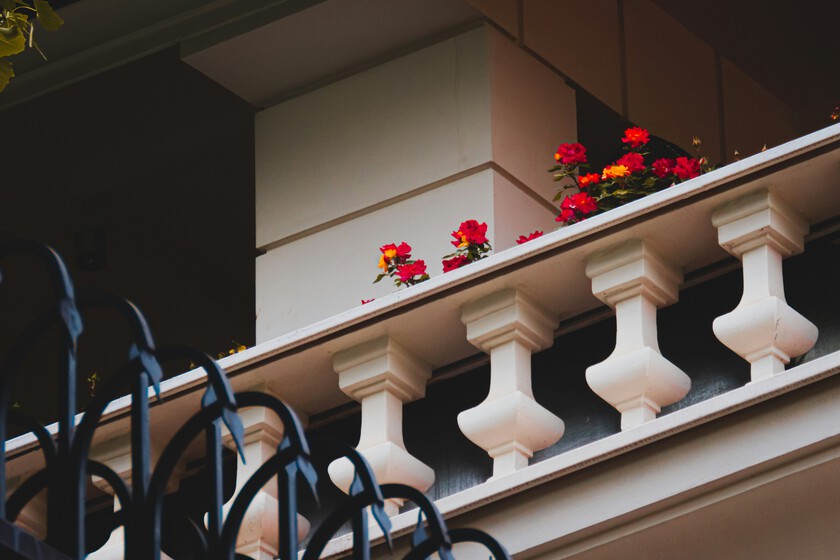 Siete plantas resistentes que llenan de vida jardines, patios y balcones sin sol