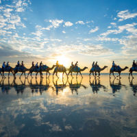Las caravanas de camellos no son sólo para el desierto, descubre Broome en Australia