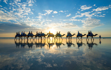 Las caravanas de camellos no son sólo para el desierto, descubre Broome en Australia