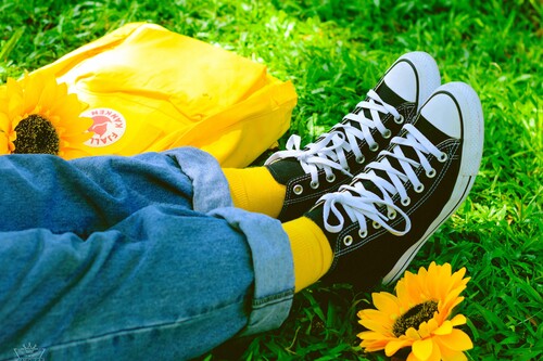 Las mejores ofertas en zapatillas hoy: nueve Converse de lona rebajadísimas y súper prácticas para la primavera