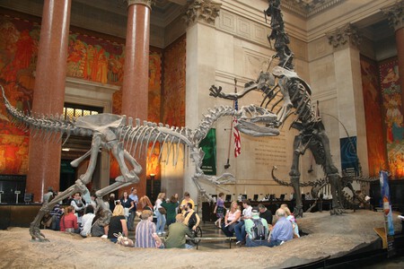fósseis de dinossauros no Museu Americano de História Natural