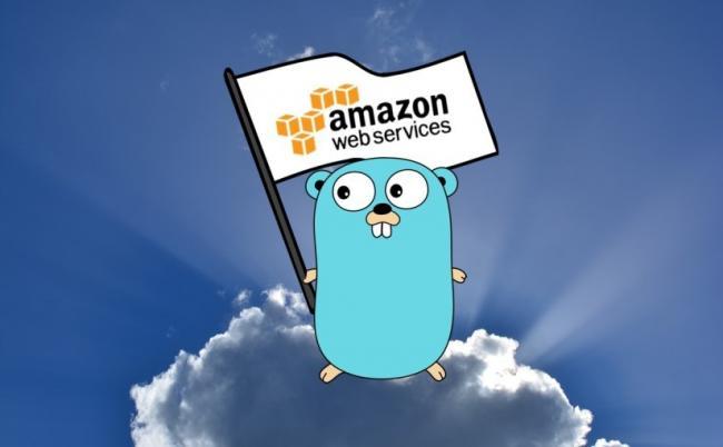 Aws Sdk Go Golang 825x510