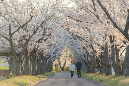 Pareja Caminado
