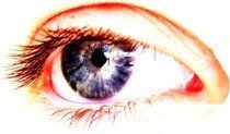 Las células de la retina