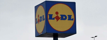 Lidl lanza la caja de herramientas perfecta para tener todo en orden por robusta y duradera, por menos de 10 euros