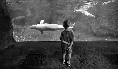 Nuestra percepción sobre el comportamiento de los hijos se refleja en sus patrones de conectividad cerebral