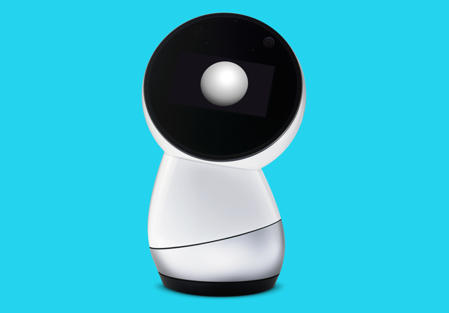 Jibo Portada