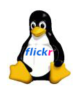 Monta flickr como unidad virtual en Linux
