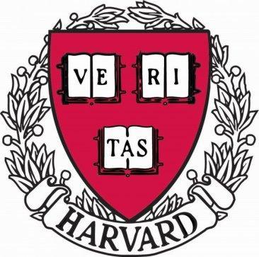 Universidad y endowment
