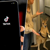 Los vídeos de Veo 3 están pasando su gran prueba de fuego en TikTok. Y con nota
