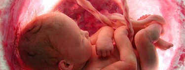 La placenta artificial que podrá salvar a bebés prematuros extremos está cerca de hacerse realidad en España