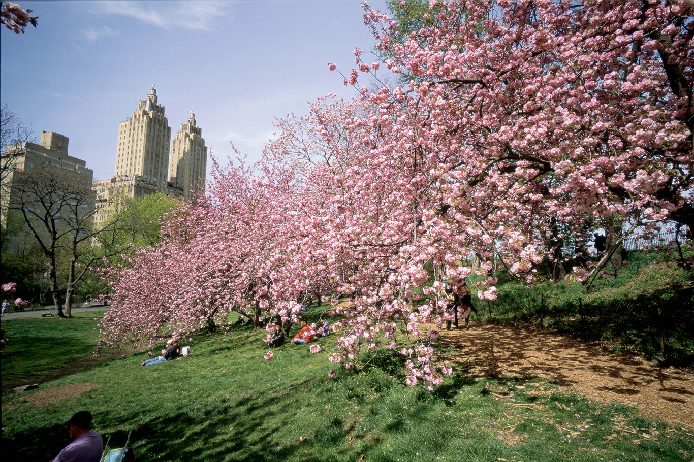 11 fotografías para enamorarte de Nueva York 11 fotografías para enamorarte de Nueva York
