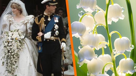 Lirio del Valle: la flor que muchas novias usan en sus ramos por su tierno y romántico significado