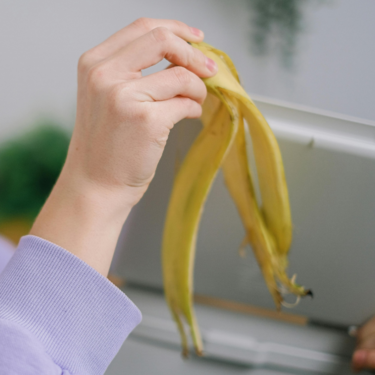 Lo que tiras puede salvarlas: la cáscara de plátano es lo que tu planta necesita para crecer hermosa