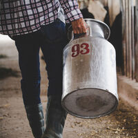 Tras el cerdo, China atiza con aranceles de hasta el 42,7% a los lácteos europeos 