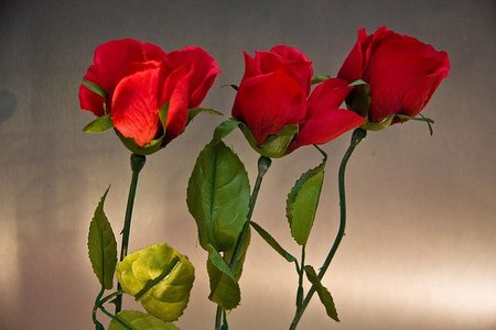 Rosas fáciles para regalar por Sant Jordi