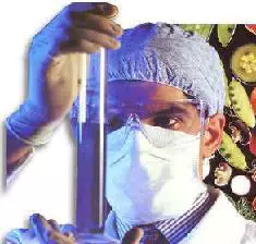 Aprobados los alimentos ecologicos transgénicos