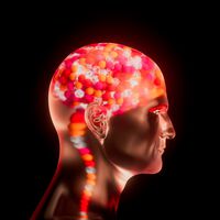 Quantas vozes têm na sua cabeça? Existem pessoas que não tem nenhuma e vivem em completa paz