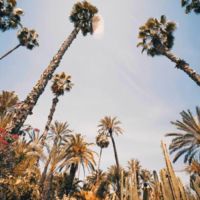 Videos inspiradores: las maravillas de Marrakech