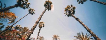 Videos inspiradores: las maravillas de Marrakech