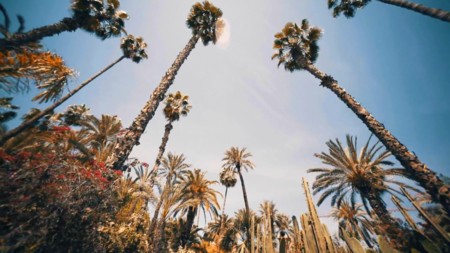 Videos inspiradores: las maravillas de Marrakech