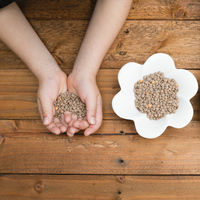 Las legumbres en la alimentación infantil: las lentejas