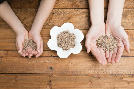 Las legumbres en la alimentación infantil: las lentejas