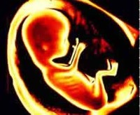 Fumar en el embarazo daña las arterias del bebé