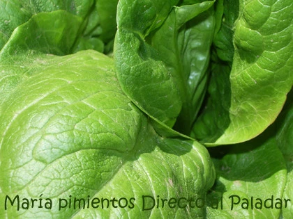 ¿Carne?...no sin ensalada