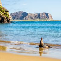Las Galápagos han sido durante siglos un santuario natural prácticamente virgen. Hasta que llegaron los turistas