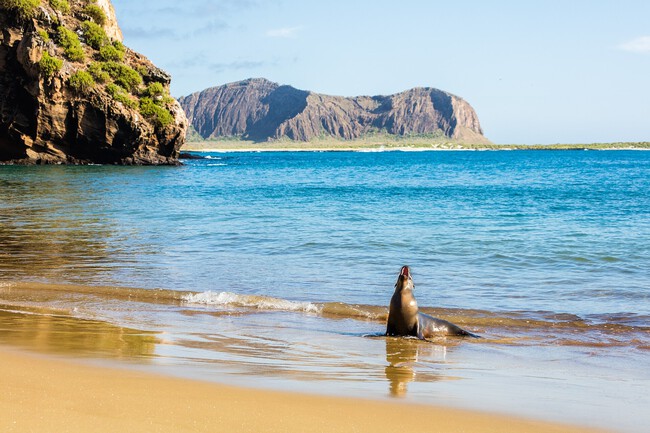 Islas Galapagos Turistas