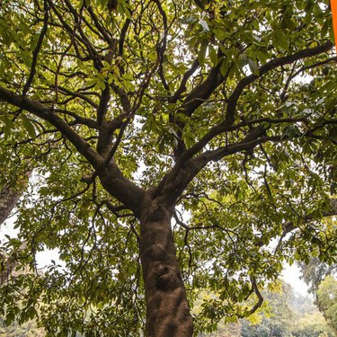 Así es el espacio que casi nadie conoce de Chapultepec donde hay esculturas, espejos de agua y áreas para un picnic