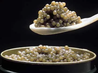 ¡A comer!....¿caviar?