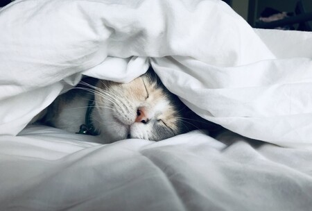 Los beneficios de las siestas y cómo hacerlas bien