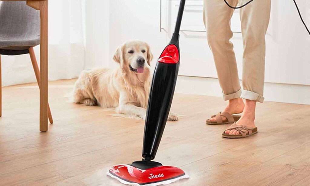 No tienes por qué gastar un dineral en una aspiradora sin cables: Lidl tiene esta solución y es mucho más barata de lo que crees 