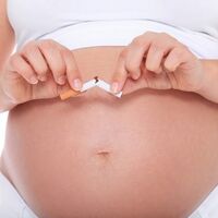 La OMS advierte que fumar en el embarazo o la exposición al humo aumentan el riesgo de muerte fetal y parto prematuro