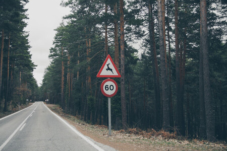 Istock 698740896 Easy Resize Com