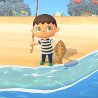 Todos los peces de Diciembre en Animal Crossing New Horizons
