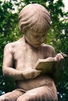 ¿Leer libros o seguir el instinto?