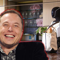Los robots camareros "autónomos" de Elon Musk eran marionetas controladas por humanos. El volantazo de Tesla a empresa de inteligencia artificial empieza con engaños