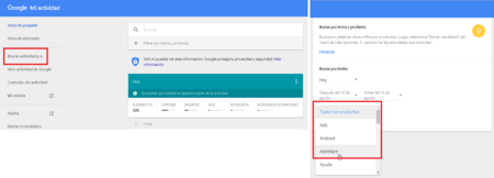 Mi Actividad, cómo borrar información de Google