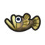 Rio goby