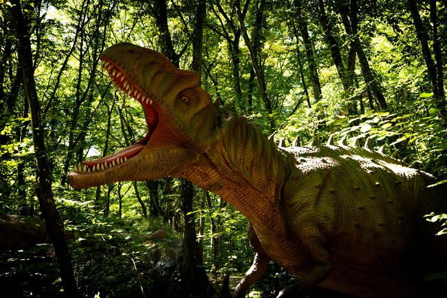 Jurasicoo